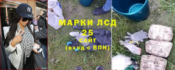 амф Верхний Тагил