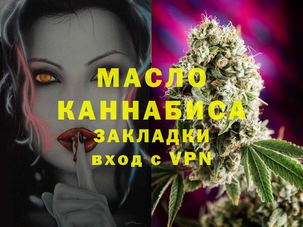амф Верхний Тагил