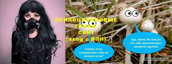 мяу мяу кристалл Верея