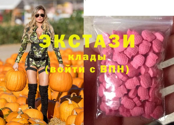 амф Верхний Тагил