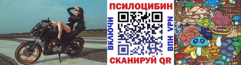 Купить  Лениногорск  Галлюциногенные грибы мицелий 
